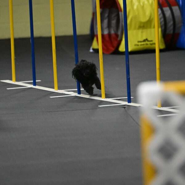 Murphy-Bourell-Casey-13527