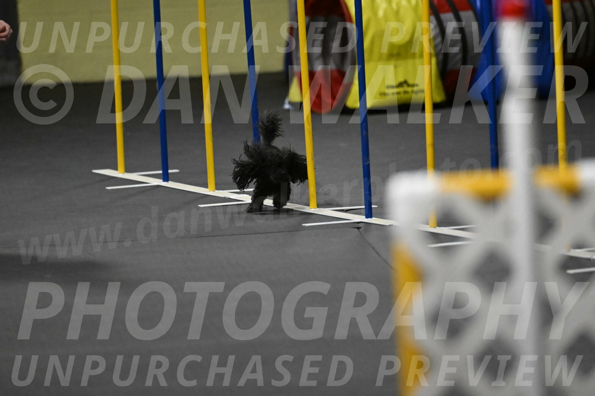 Murphy-Bourell-Casey-13528