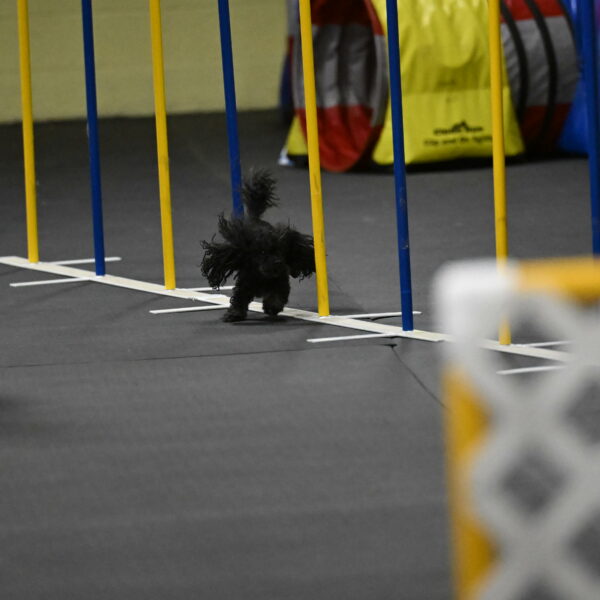 Murphy-Bourell-Casey-13528