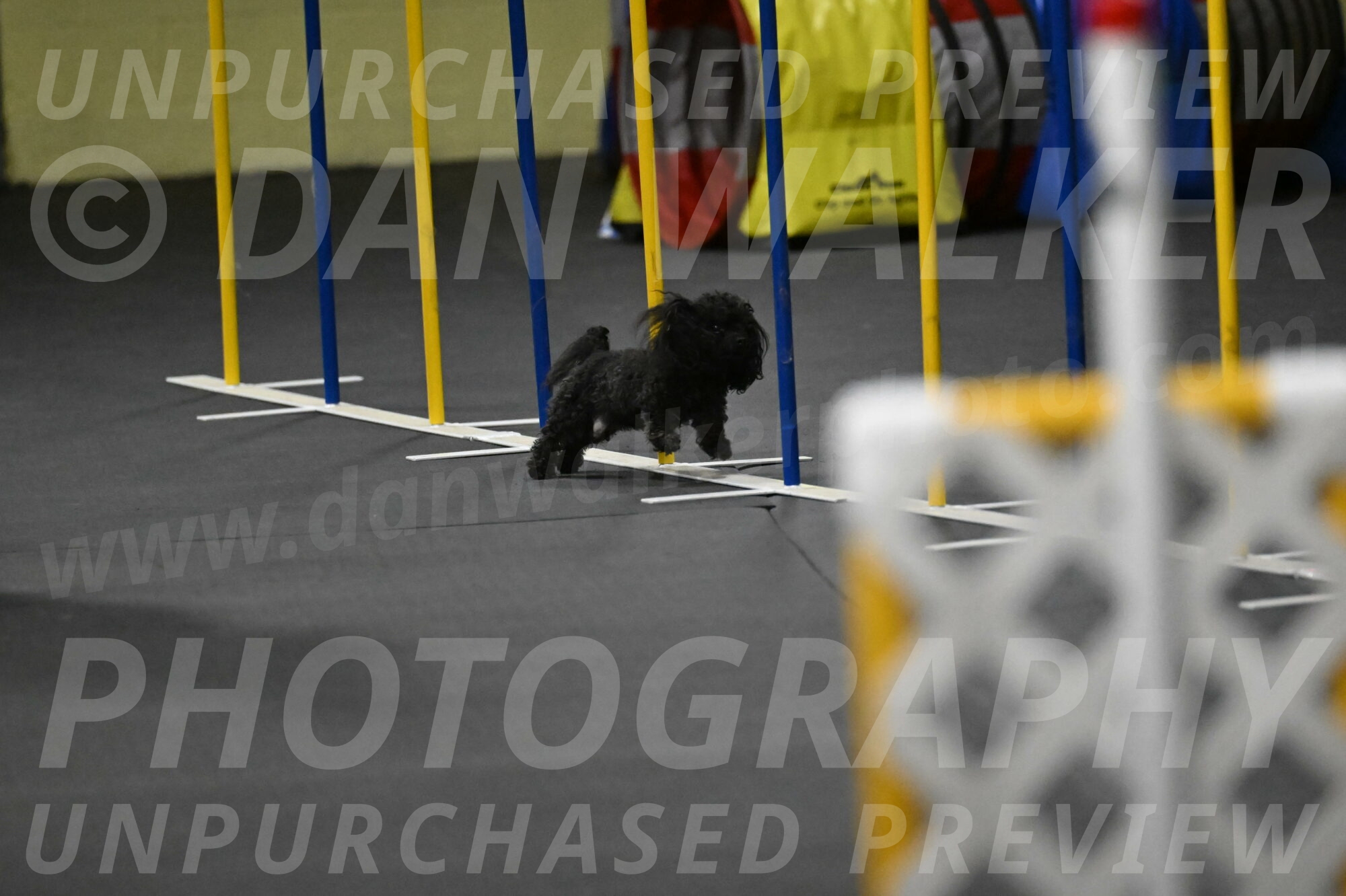 Murphy-Bourell-Casey-13530