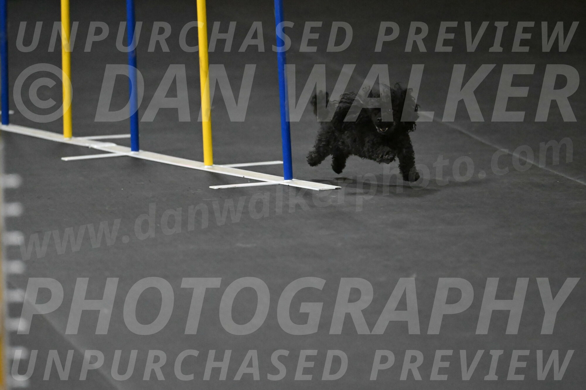 Murphy-Bourell-Casey-13537