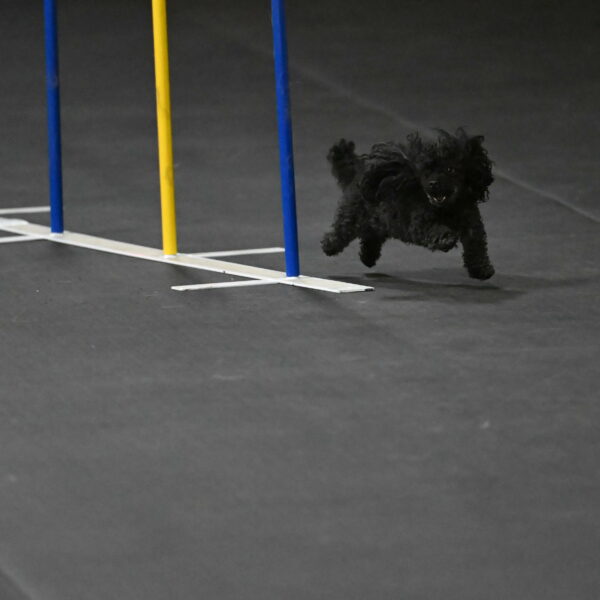 Murphy-Bourell-Casey-13537