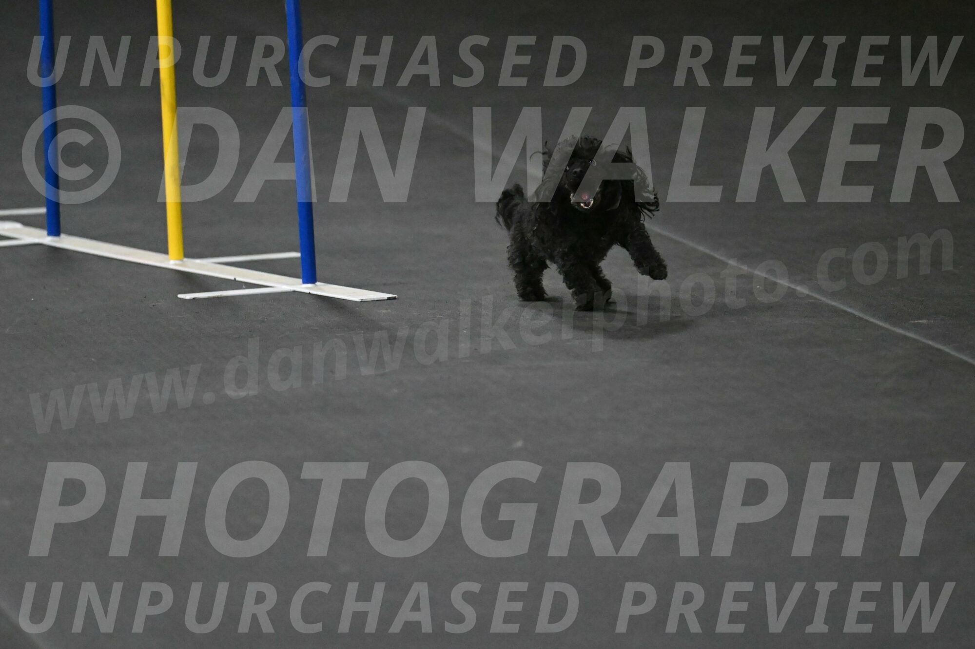 Murphy-Bourell-Casey-13538