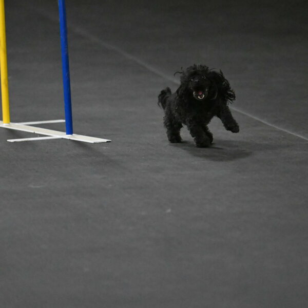 Murphy-Bourell-Casey-13538