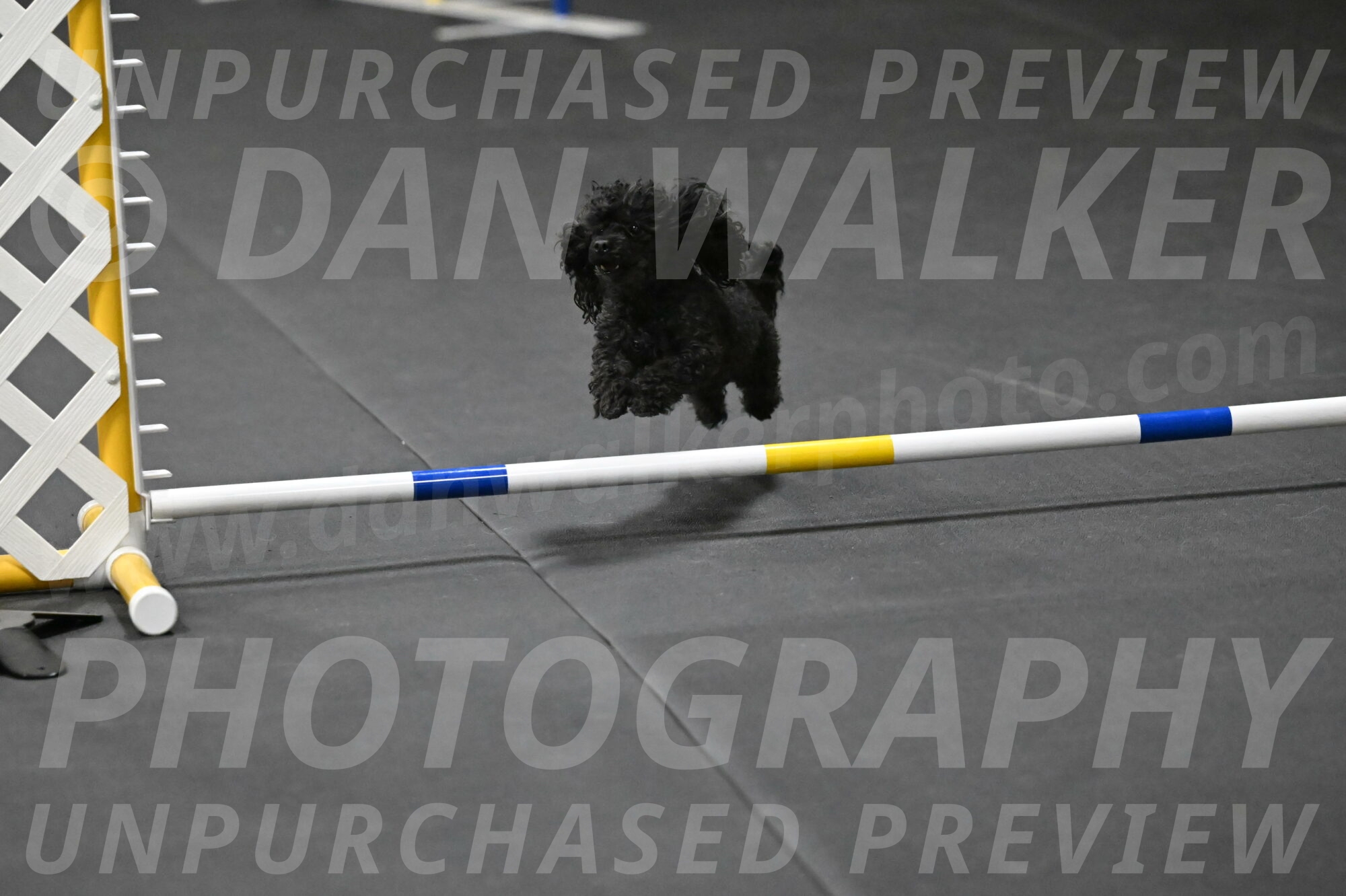 Murphy-Bourell-Casey-13553