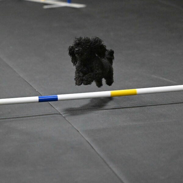 Murphy-Bourell-Casey-13553