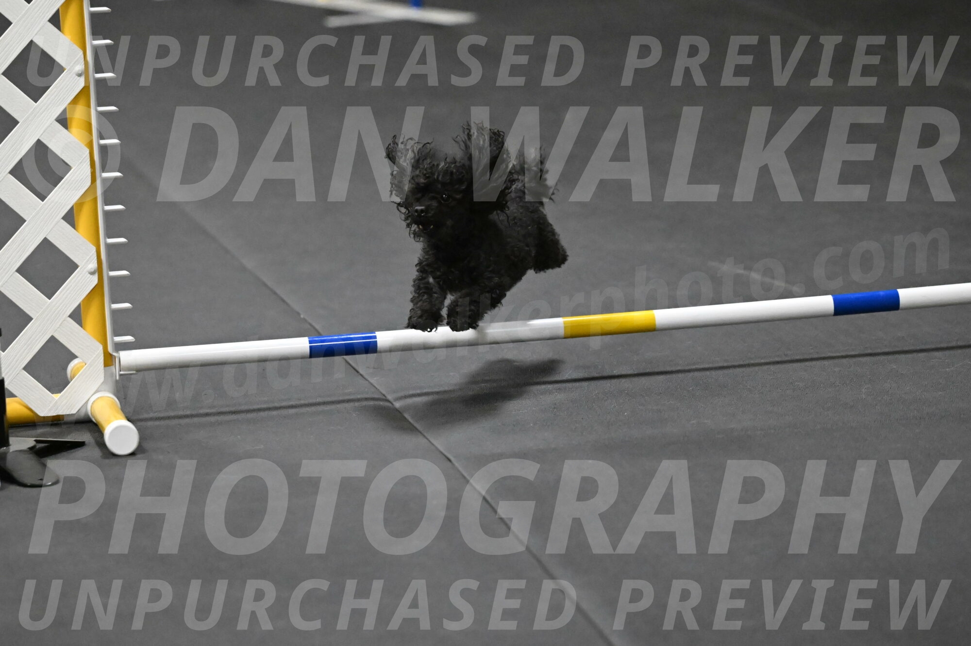 Murphy-Bourell-Casey-13554