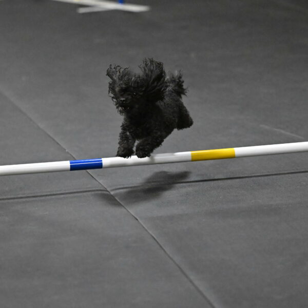 Murphy-Bourell-Casey-13554