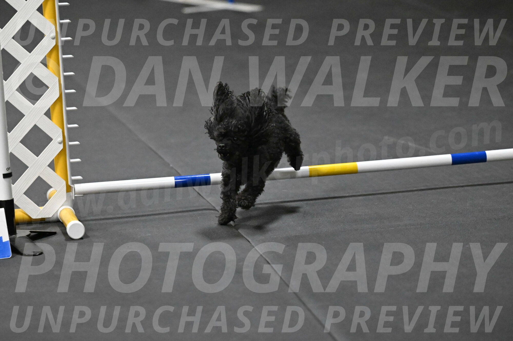 Murphy-Bourell-Casey-13555