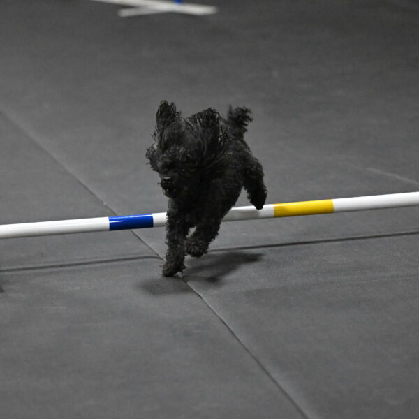 Murphy-Bourell-Casey-13555