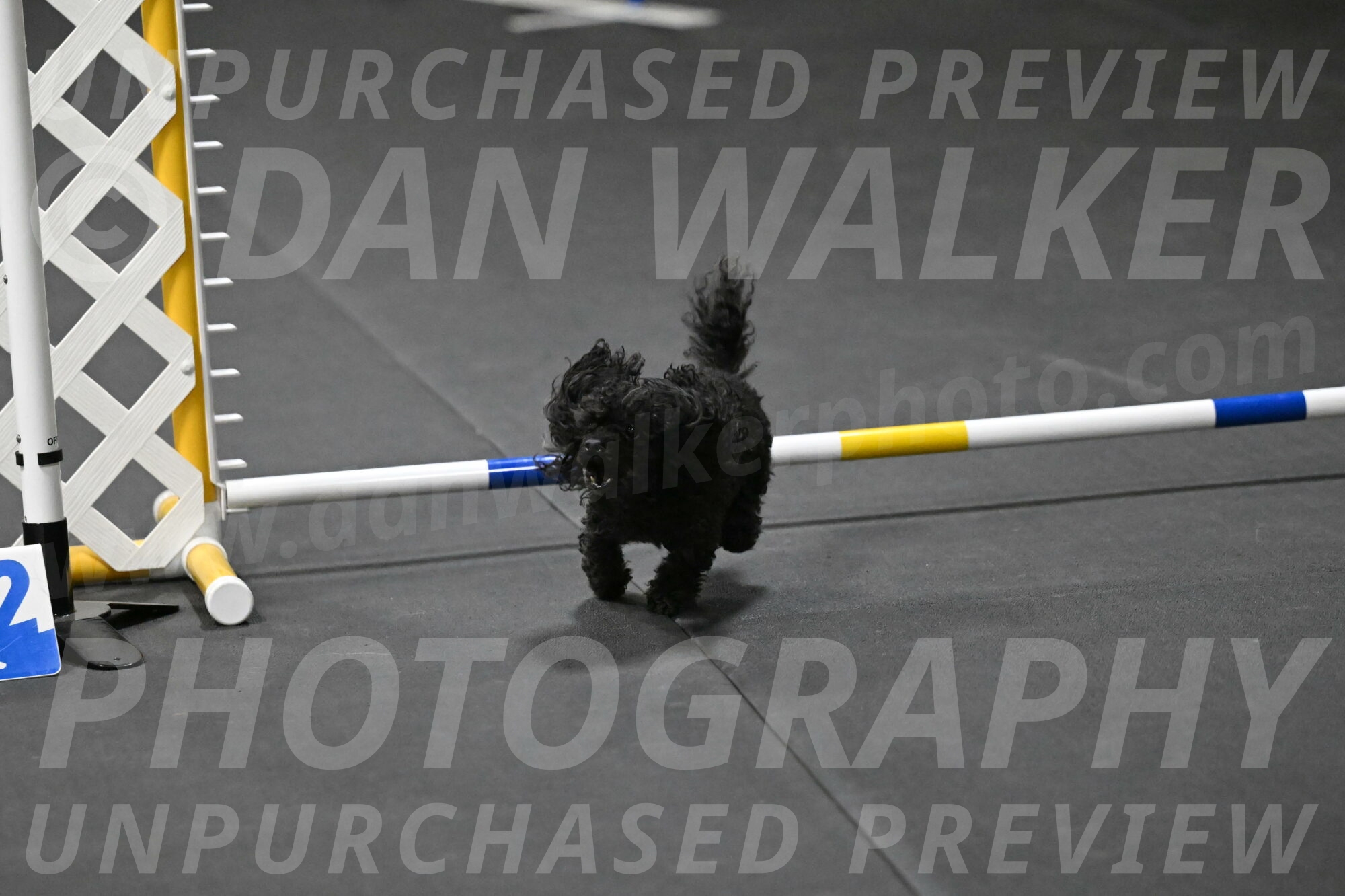 Murphy-Bourell-Casey-13556