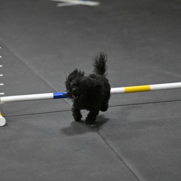 Murphy-Bourell-Casey-13556