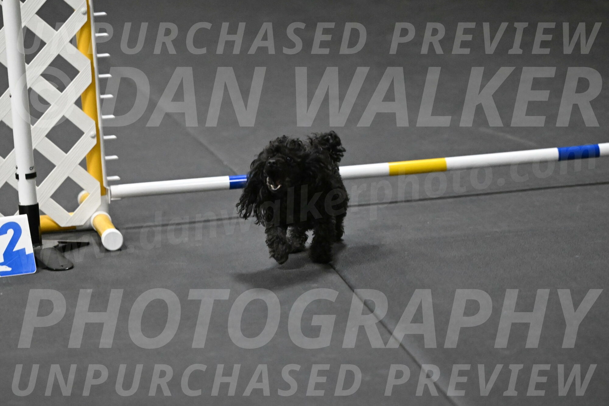 Murphy-Bourell-Casey-13557