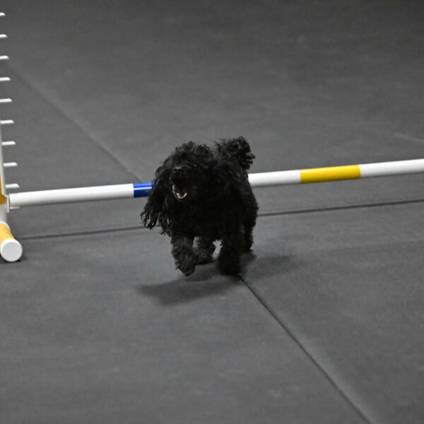 Murphy-Bourell-Casey-13557