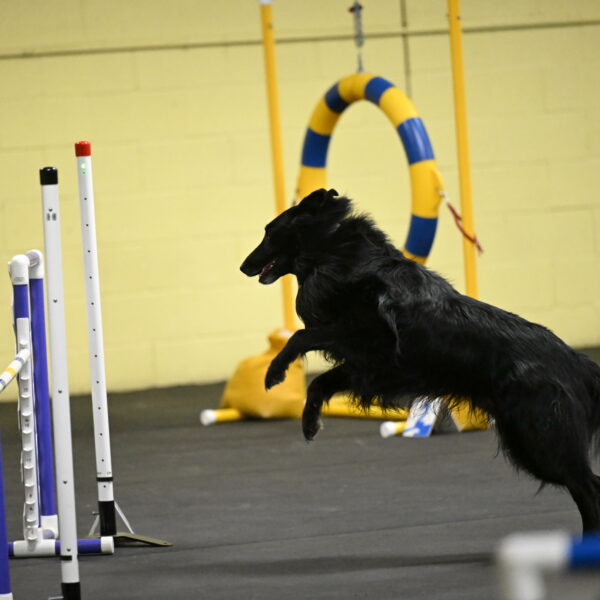 Oscar-Caldwell-06985