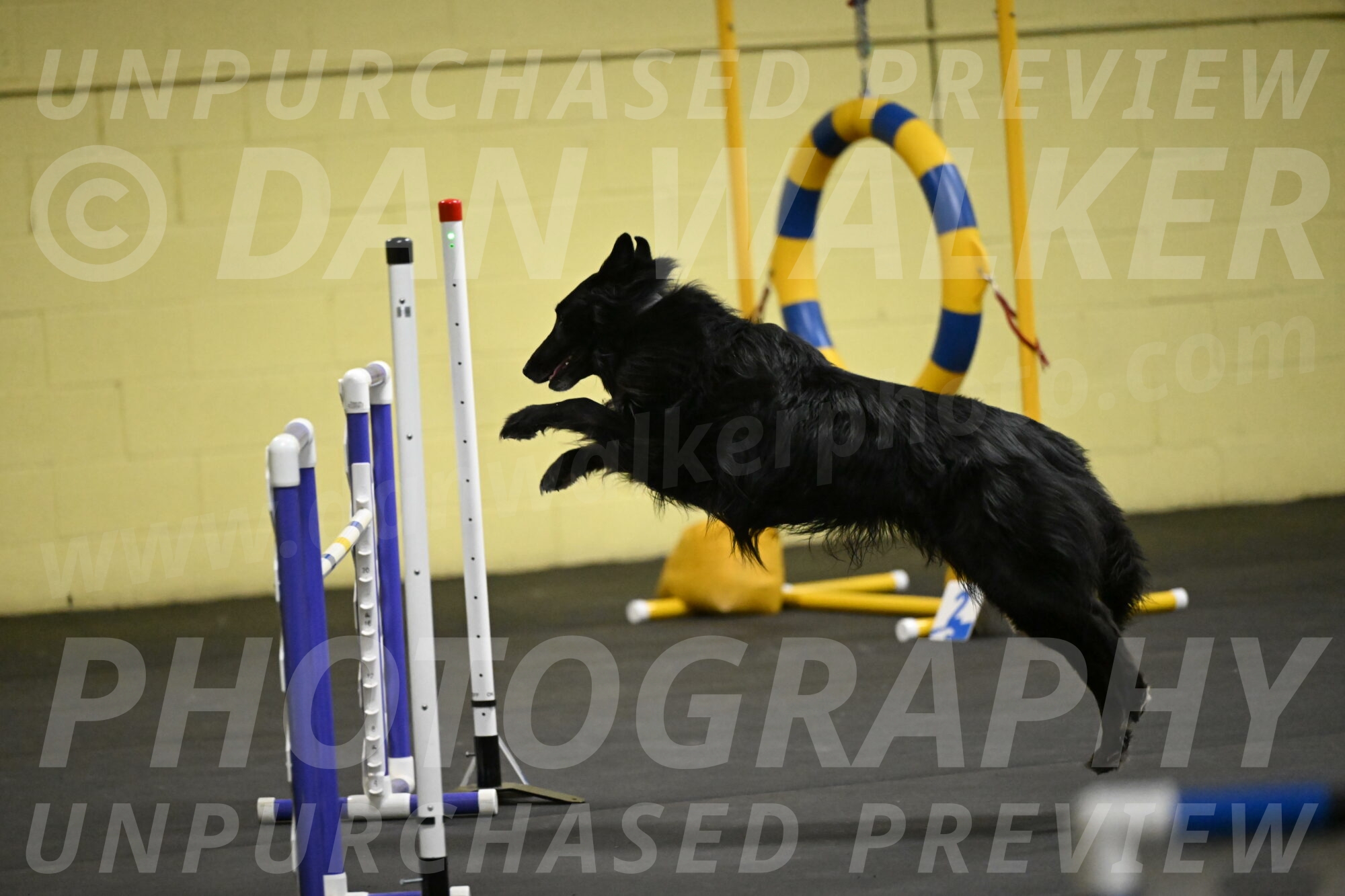 Oscar-Caldwell-06986