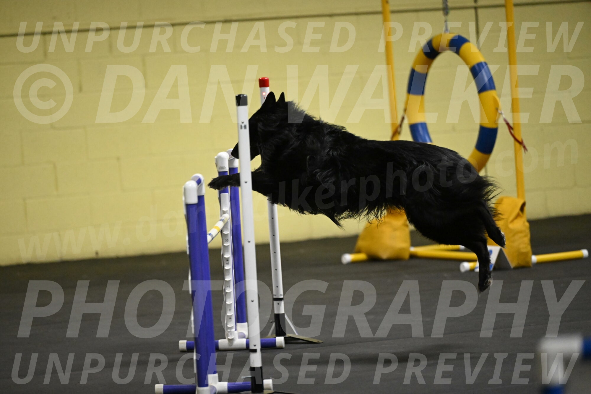 Oscar-Caldwell-06987