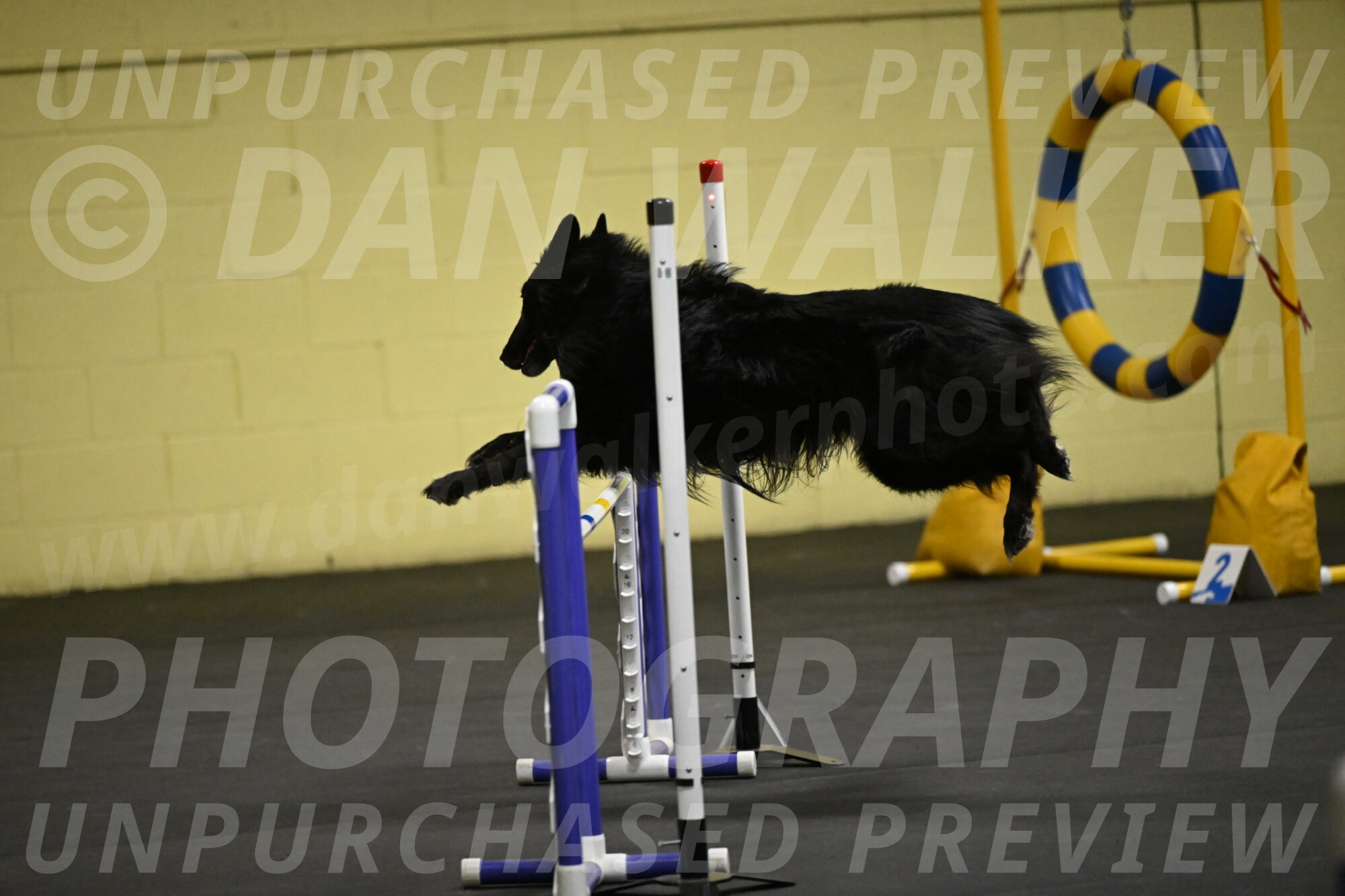 Oscar-Caldwell-06988