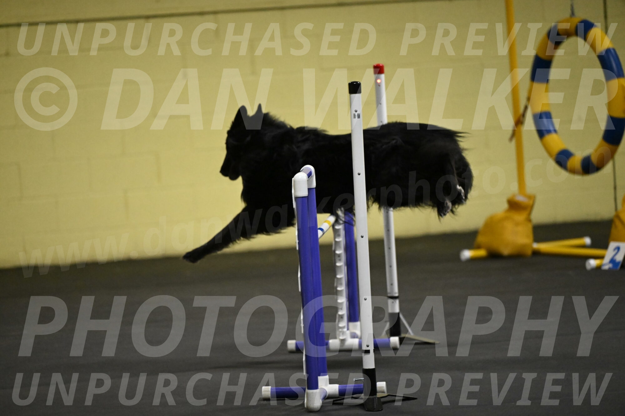 Oscar-Caldwell-06989