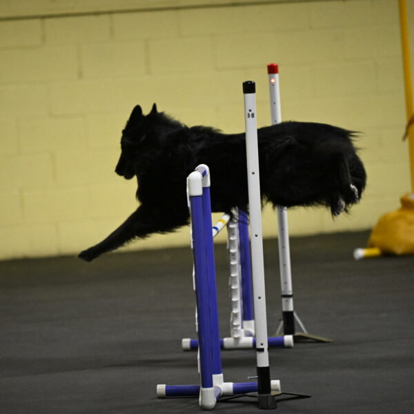 Oscar-Caldwell-06989