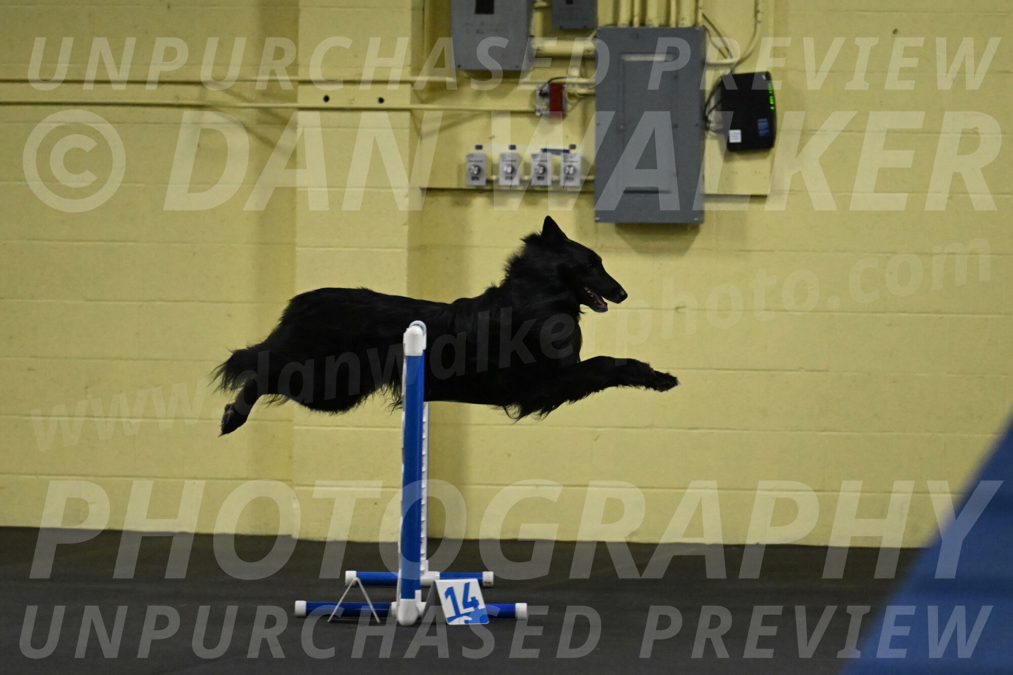 Oscar-Caldwell-06990