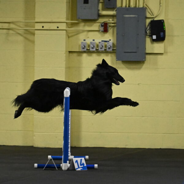 Oscar-Caldwell-06990