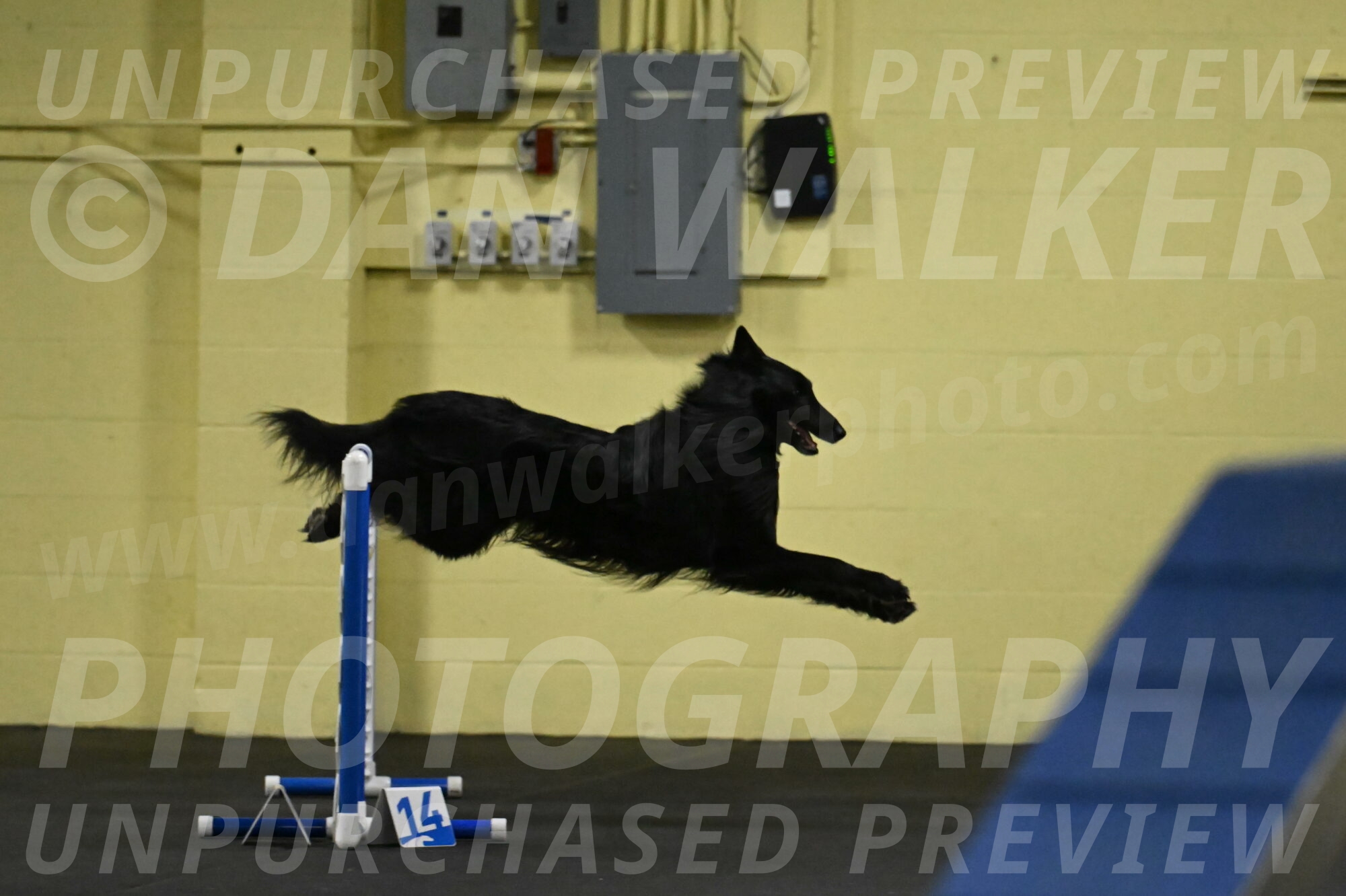 Oscar-Caldwell-06991