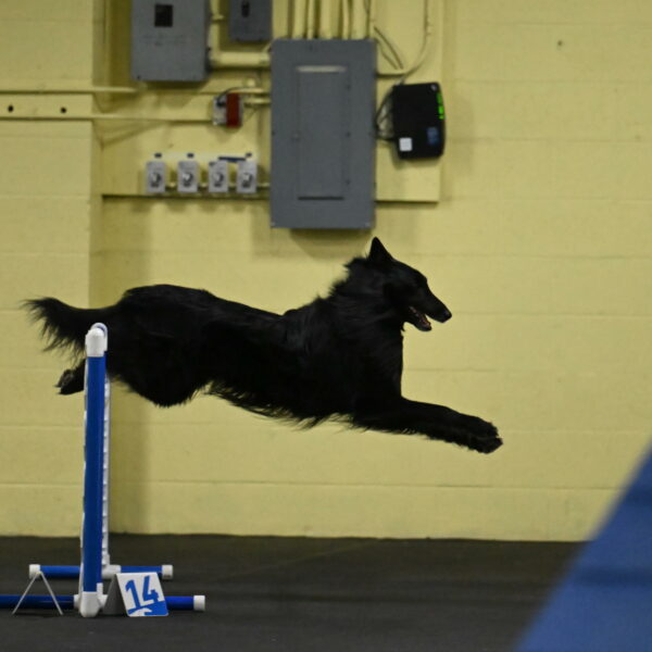 Oscar-Caldwell-06991