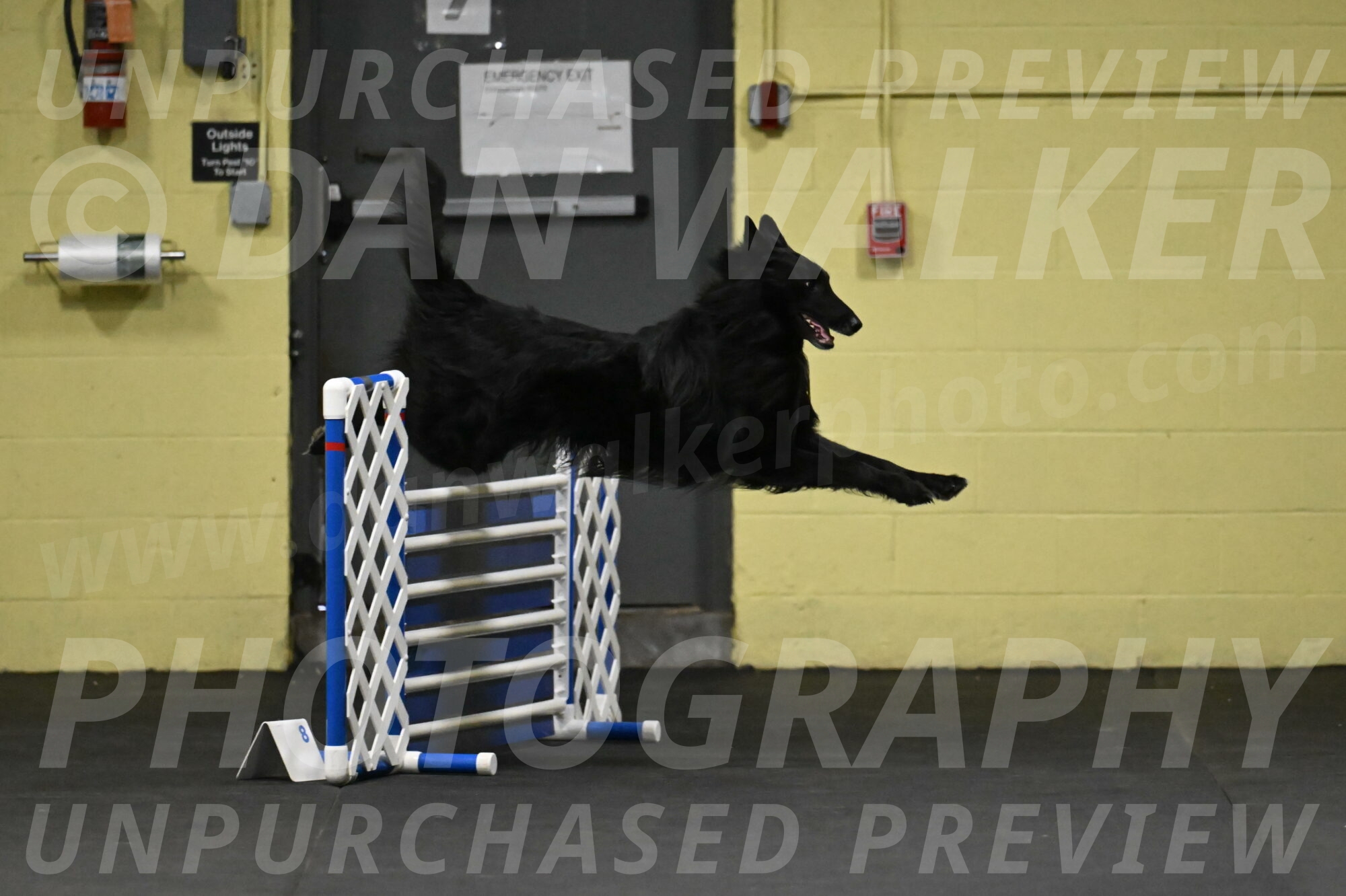 Oscar-Caldwell-06994