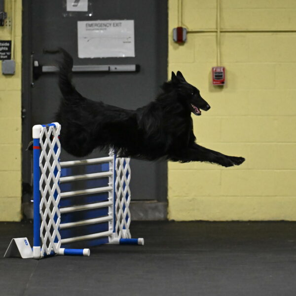 Oscar-Caldwell-06994