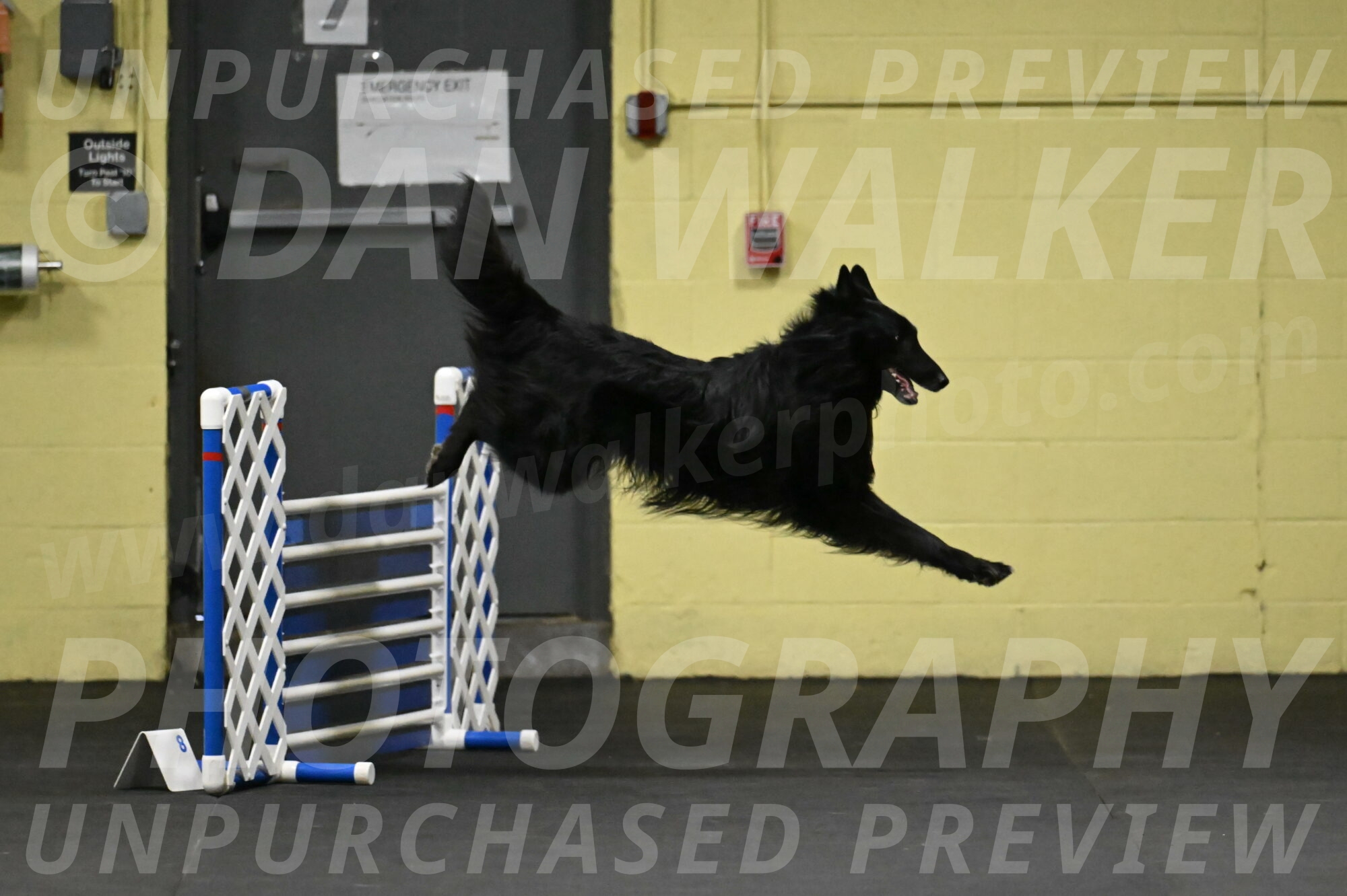 Oscar-Caldwell-06995