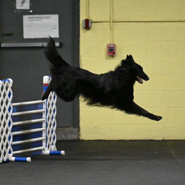 Oscar-Caldwell-06995