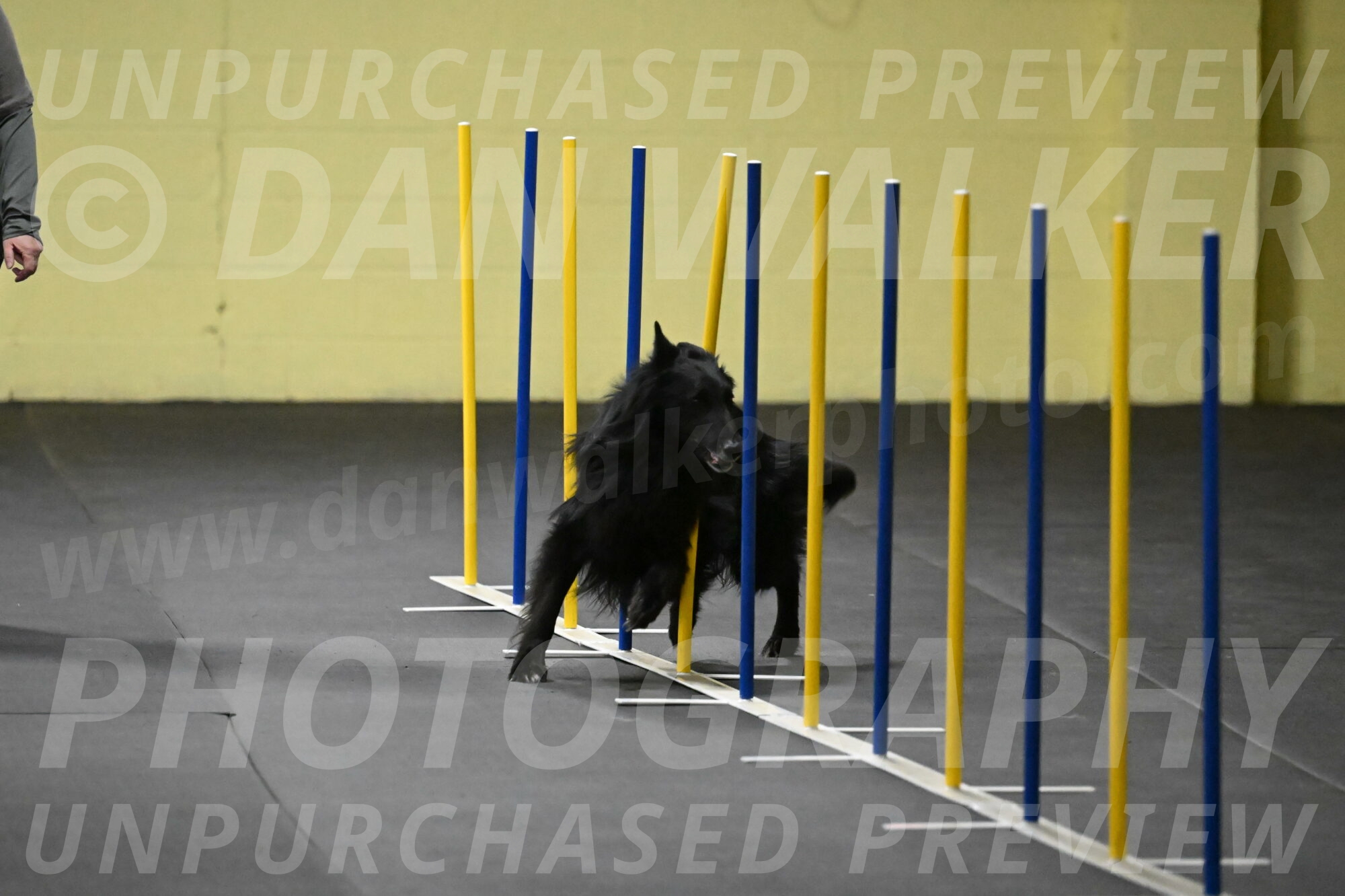 Oscar-Caldwell-06997