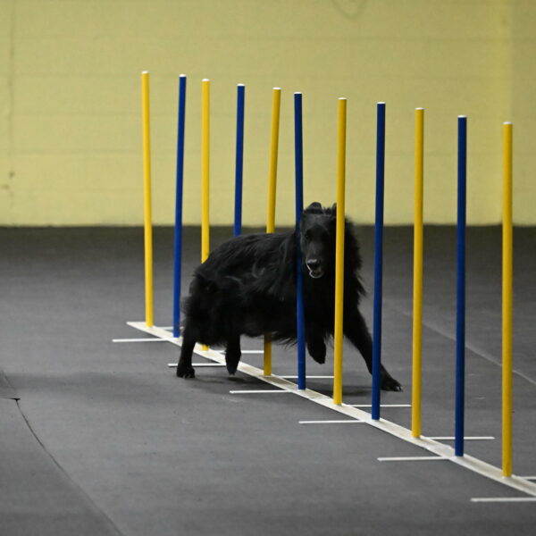 Oscar-Caldwell-07000