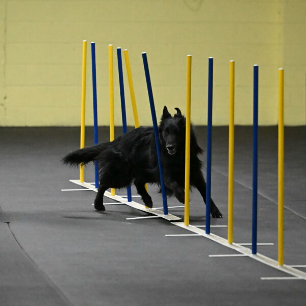 Oscar-Caldwell-07001