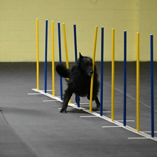 Oscar-Caldwell-07002