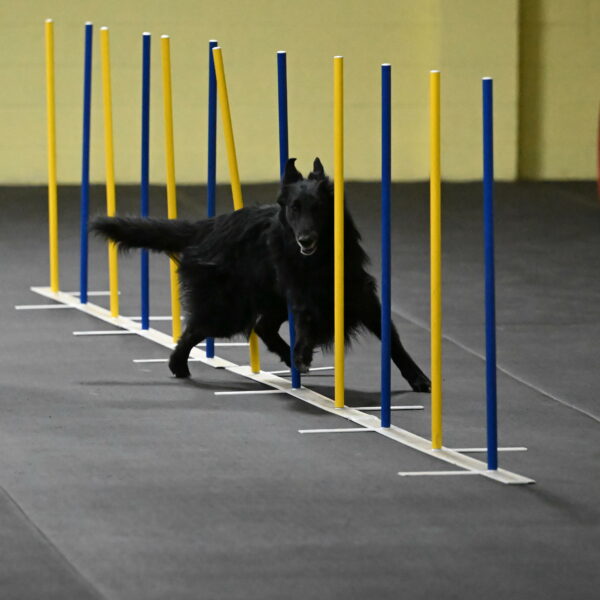 Oscar-Caldwell-07006