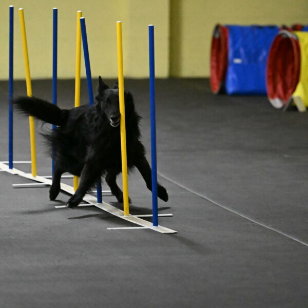 Oscar-Caldwell-07012