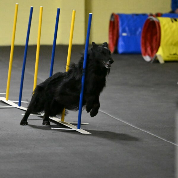 Oscar-Caldwell-07016