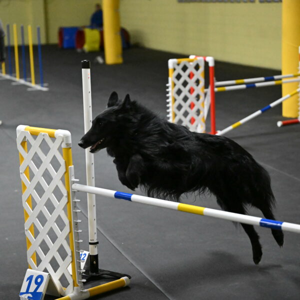 Oscar-Caldwell-07031