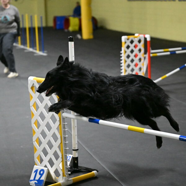 Oscar-Caldwell-07032