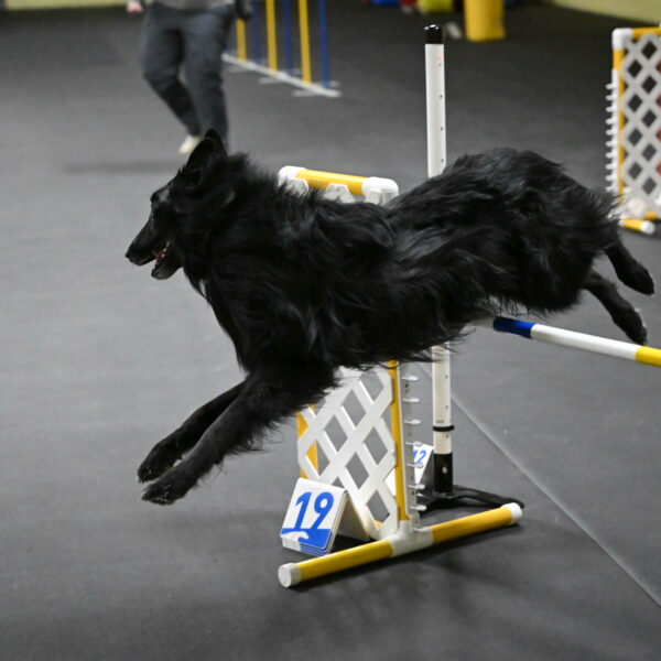 Oscar-Caldwell-07034