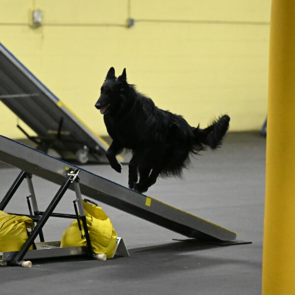 Oscar-Caldwell-07046