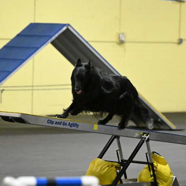 Oscar-Caldwell-07050