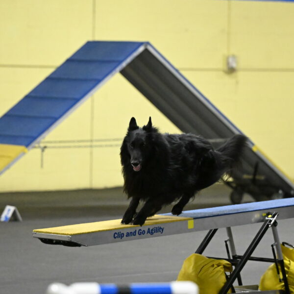 Oscar-Caldwell-07052