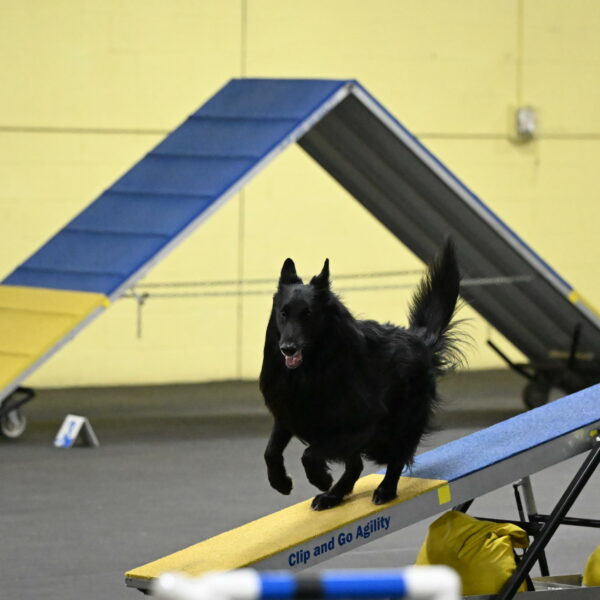 Oscar-Caldwell-07053