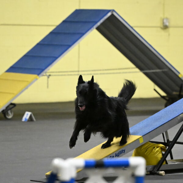 Oscar-Caldwell-07054