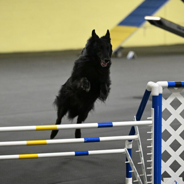 Oscar-Caldwell-07061