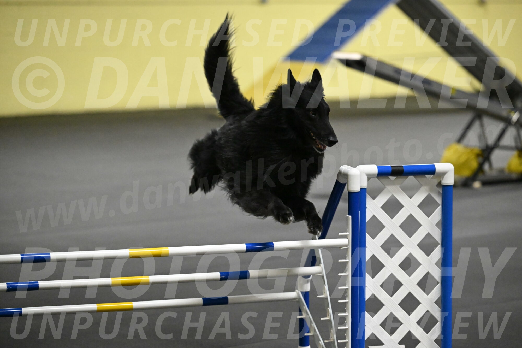 Oscar-Caldwell-07064