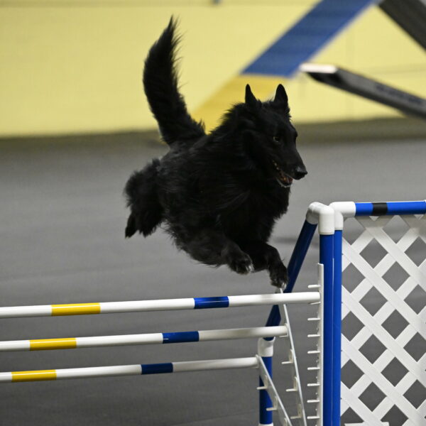 Oscar-Caldwell-07064